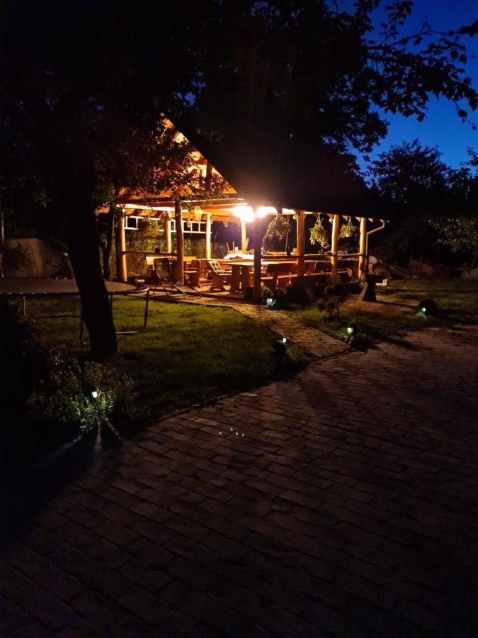Opg Dijana